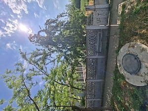 Vând casa Movila Miresii + 8h pământ 