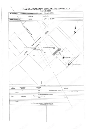 Teren intravilan 3.000 mp – Ovidiu, Varianta către Poiana - imagine 5