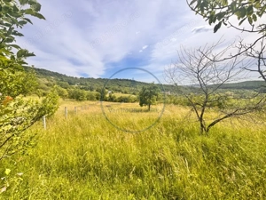 Oportunitate investiție! Teren 2.200 mp, Valea Budacului - imagine 4