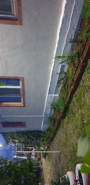 Vand proprietate casa de vacanța cu livada 100 pomi fructiferi si 1,5 hectare plantatie Paulownia  - imagine 3