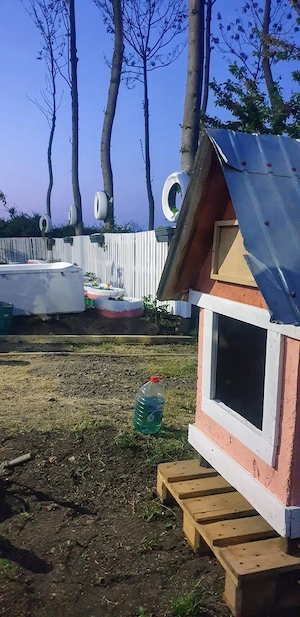 Vand proprietate casa de vacanța cu livada 100 pomi fructiferi si 1,5 hectare plantatie Paulownia  - imagine 5
