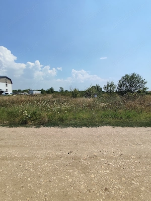 Teren de vânzare  în Bragadiru Crisu Repede 4000mp