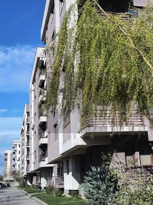 Apartament 2 camere Gama Residence-Popesti Leordeni - imagine 11