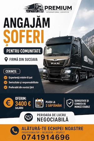 Sofer profesionist comunitate C E