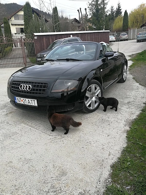 Audi TT 8 N cabrio - imagine 4