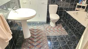 Vand casa in Deva, S+ P, zona centrala ( foarte buna), aproape de centru, acces auto - imagine 10