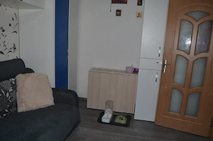Comarnic-Apartament cu doua camere mobilat si utilat - imagine 2