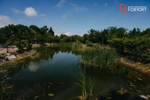Casa individuala cu 8 camere si lac cu pesti, teren 4424 mp - Jebel - imagine 3