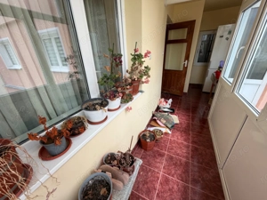 Apartament 3 camere, etaj 2 - Cugir - imagine 10