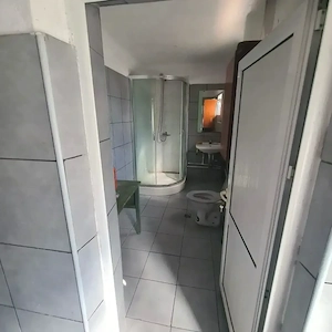 Casa 4 camere cu teren mare,livada și vie. - imagine 4
