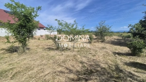 Vânzare teren intravilan 801 mp, deschidere 30 m.l. – Strada Slobozia - imagine 7