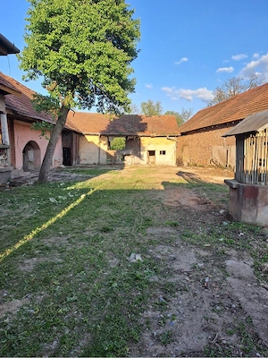 Casă cu 2000mp Teren Gura Văii Țara Făgărașului - imagine 8