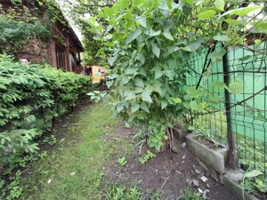 CASA SI TEREN DE VANZARE  IN TARGU OCNA - imagine 3