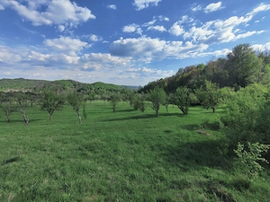 Vand 2920 mp (2,5 euro mp) teren extravilan in Suici - Arges