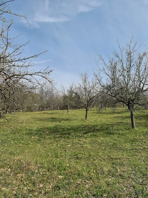 Vand 2920 mp (2.5 euro mp) teren extravilan in Suici - Arges