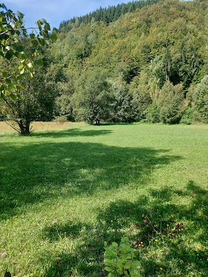 teren de vanzare