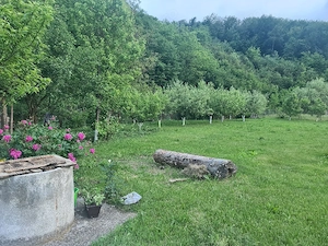 Vand casa cu gradina - imagine 4