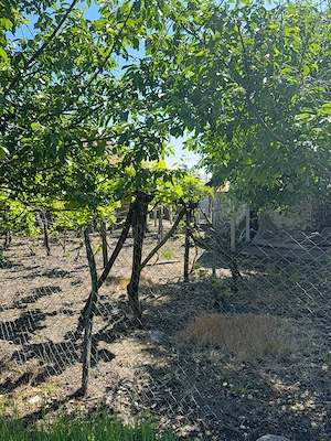 Teren intravilan Sambotin Gorj - imagine 5