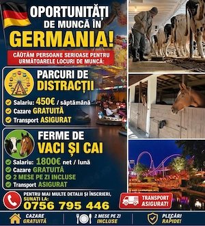 Locuri de munca pentru Necalificati 