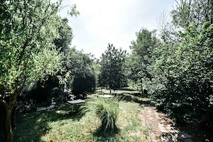 Vand Casa Pischia,Timis - imagine 2