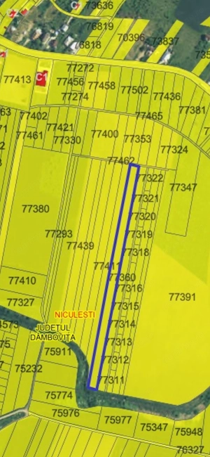 Teren intravilan construcții 9.600 mp Niculesti, Dambovita - imagine 4