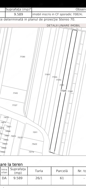 Teren intravilan construcții 9.600 mp Niculesti, Dambovita - imagine 5