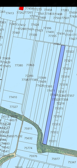 Teren intravilan construcții 9.600 mp Niculesti, Dambovita - imagine 2