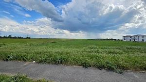 Teren intravilan construcții 9.600 mp Niculesti, Dambovita - imagine 8