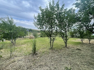 6.000 mp intravilan sat Avintu - imagine 3