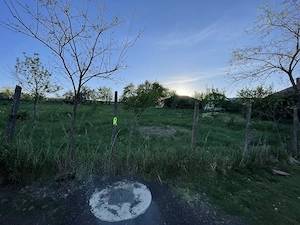 6.000 mp intravilan sat Avintu - imagine 5