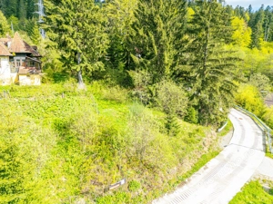 Teren Construibil 930 mp în Predeal – Lângă Pădure și Pârtia Clăbucet - imagine 5
