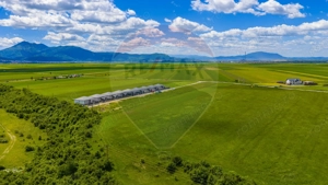 COMISION 0%| DEZVOLTARE REZIDENTIALA TARLUNGENI | TEREN 8.600 MP| - imagine 12