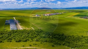 COMISION 0%| DEZVOLTARE REZIDENTIALA TARLUNGENI | TEREN 8.600 MP| - imagine 7