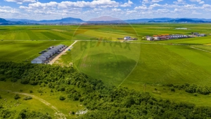 COMISION 0%| DEZVOLTARE REZIDENTIALA TARLUNGENI | TEREN 8.600 MP| - imagine 8