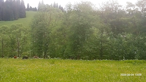 Teren a munte.Locatie superba. - imagine 4