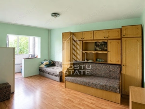 Apartament 1 camera zona Micalaca Pet Friendly