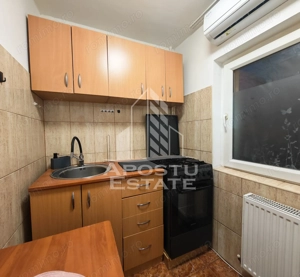 Apartament de vanzare cu 1 camera, etaj intermediar, Lipovei,Timisoara - imagine 7