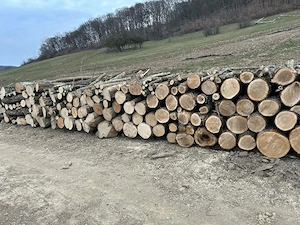 lemne de foc