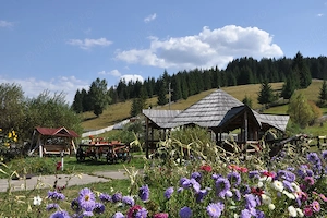 pensiune Bucovina - imagine 2