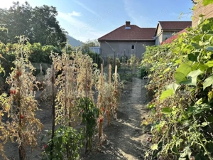 Casă de renovat 2 camere, zonă liniștită – Cugir - imagine 4