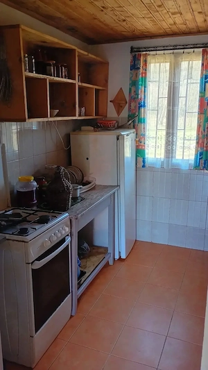 Casa de vacanta - zona Campu lui Neag   Rostoveanu - imagine 7