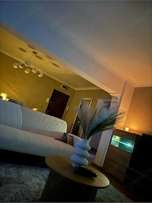 Apartament ultracentral  - imagine 8