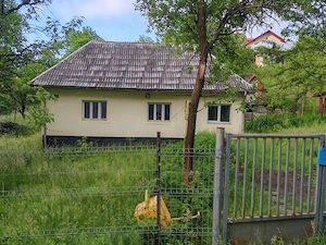 Teren intravilan si gospodarie batraneasca in Cavnic - imagine 2