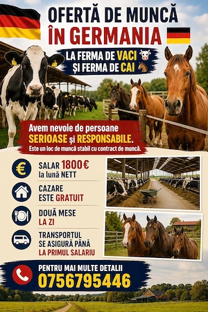Loc de munca la ferme de cai si vaci in Germania