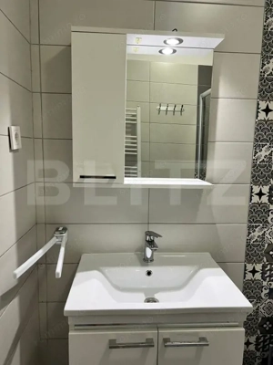 Apartament de 2 camere,  42.60 mp, mobilat si utilat modern, Calea Severinului  - imagine 11