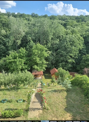 Vand casa Leamna de jos  - imagine 4