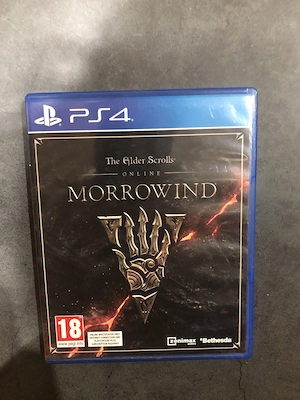 Joc PS4 Morrowind 