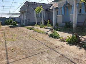vand casa teren 1853mp Sarichioi, Tulcea