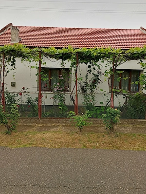 Casa de vanzare recent renovata