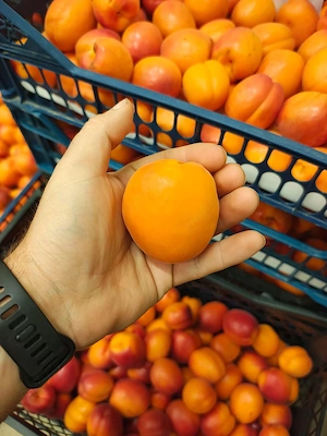Caise coapte din lugoj   direct de la producător